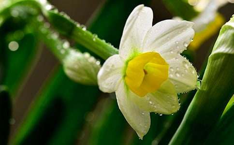 ���l(xi��ng)��ˮ��_800��-��������500��