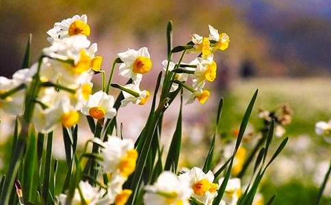 С�W(xu��)���^��ˮ�ɻ�400������