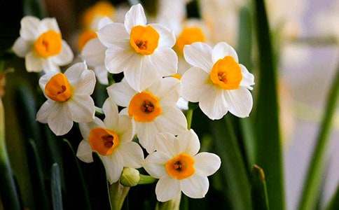 ˮ�ɻ�����600�֣�ͨ��31ƪ��