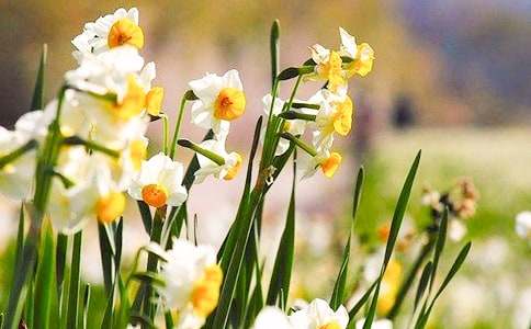 ��ˮ�ɻ������}�ă�(y��u)������