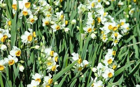 ˮ�ɻ�����700��(��(y��u))