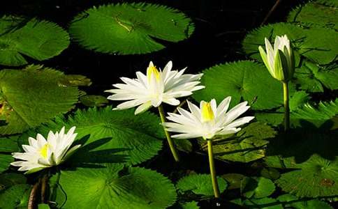 �ҵ�˯ɏ����