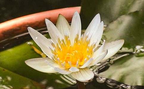 ���г�һ����750�֣��A ˯ɏ���_����