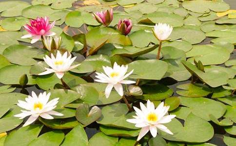 ˯ɏ����400����ƪ