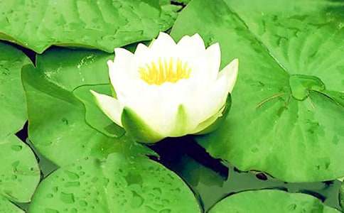 ˯ɏ����400��9ƪ