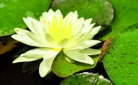 ˯ɏ����300�֣�ͨ��43ƪ��