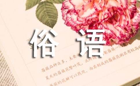 有關(guān)年俗的諺語或俗語