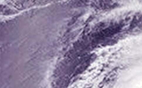 �_(t��i)�L(f��ng)����500��_С�W(xu��)���꼉(j��)����