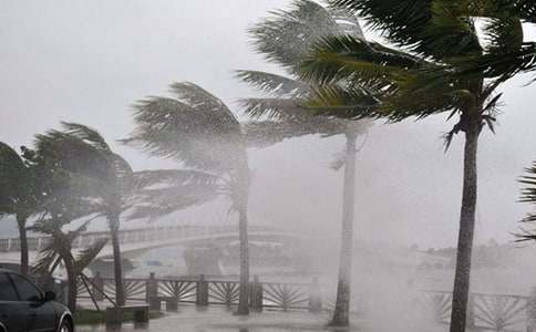 �茑�_�L(f��ng)���u������