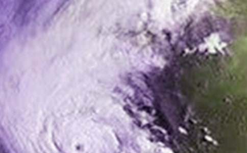 �_�L(f��ng)����������550��