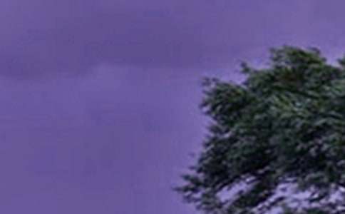 �_�L(f��ng)�������ģ����x56ƪ��