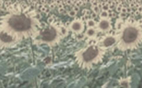 ̫ꖻ��_�ˌW������