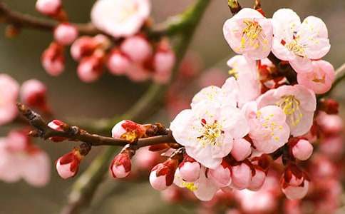 �����һ�������ʢ�_(k��i)���ģ����x10ƪ��