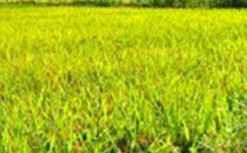 ���]�����е���Ұ���ģ����x25ƪ��