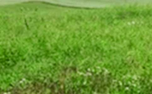 ���؂䡿��Ұ����40ƪ