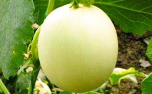 ���l(xi��ng)���������