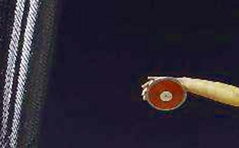 a1��Ŀ�����FD��