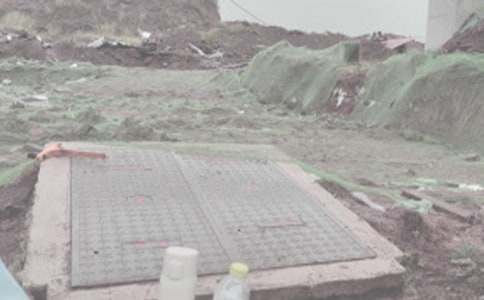 2015QS��ľ���̌��I(y��)�����W(xu��)����