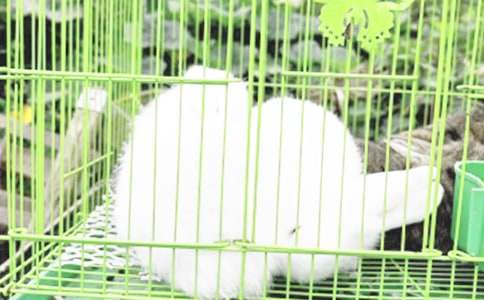 ���Ӻ͞������ģ����x16ƪ��