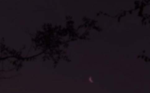 �����T(m��n)��2021���ܰ���������Z(y��)QQ34��