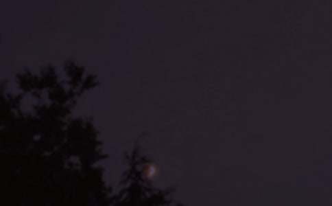 �������������Z15ƪ