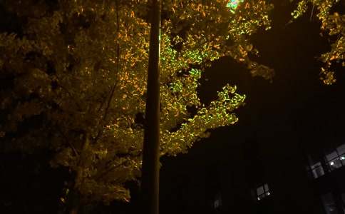 ��(j��ng)����������350��