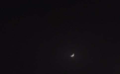 與蟲兒道聲“晚安”_850字