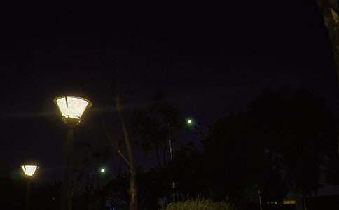 ���õ�Ψ�����������ZQQժ�29��