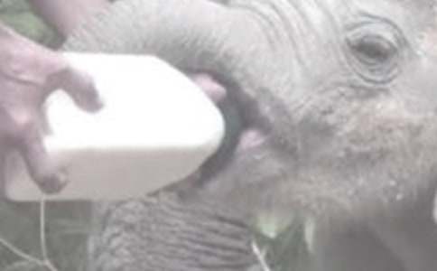 �oС��ι������