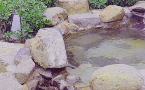 �P(gu��n)�ڜ�Ȫ����500����ƪ