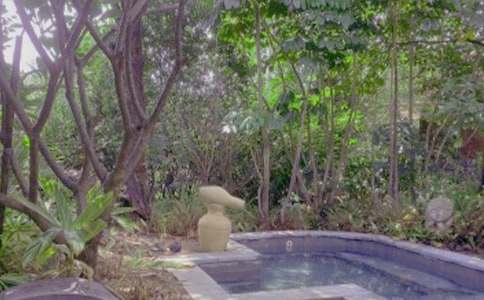 去洗溫泉啦初一作文