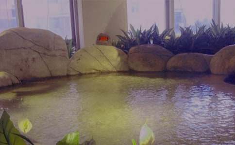 泡溫泉小學(xué)生400字作文