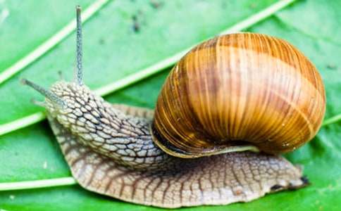 ΁ţ�ĉ������ģ����x18ƪ��