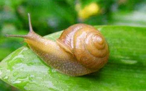 �^��΁ţС�W(xu��)���꼉����500��