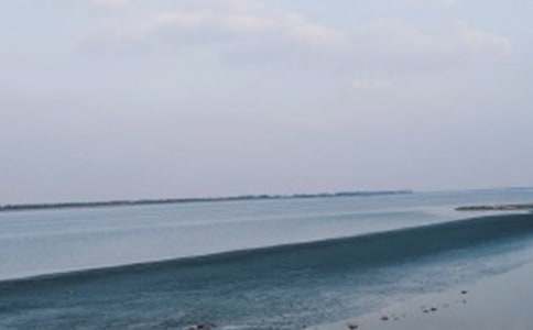 �����f��֮�҂�����ȥ���x���Pӛ