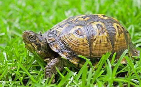 ��������С�W(xu��)����