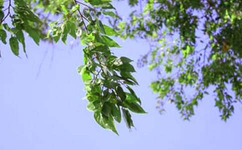 2020���ܰ���簲���ZQQ�R��64��