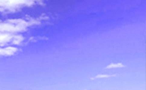 ������֪�����簲�þ�