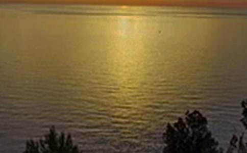 �P(gu��n)�ڂ�(g��)���簲���������x60�䣩