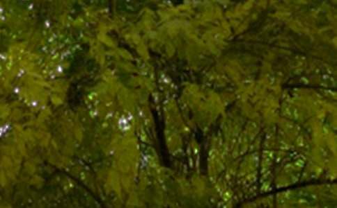 ͨ���簲���Z30��