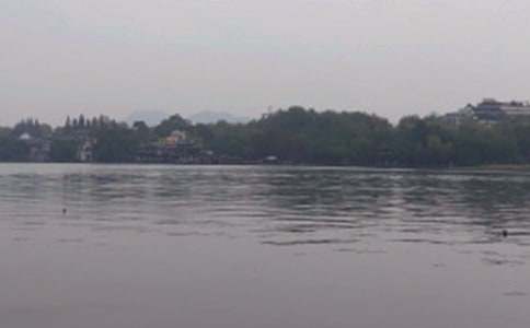 �茑����ҹ�������ļ�