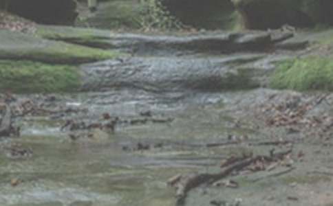 Ϫ��̽��ۙ��С�W(xu��)����