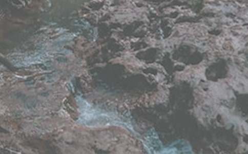 小溪流的旅行作文(通用10篇)