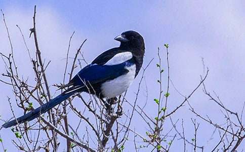 ϲ�oͯԒ���ąR��5ƪ