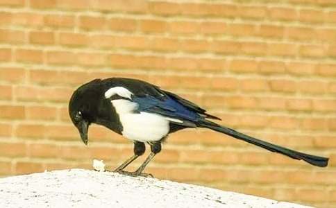 �P(gu��n)��ϲ�oͯԒ���ąR��8ƪ