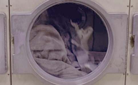 ����?gu��)͋���ϴ�·����}������