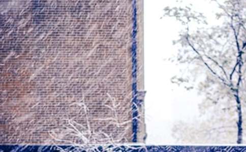 �茑������ѩ���~�Z