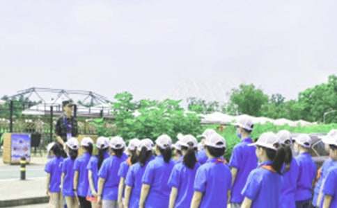 �C(j��)��������I����650��