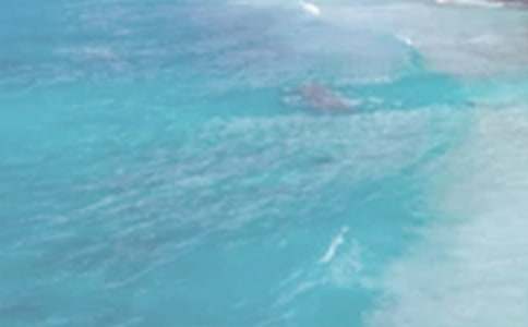 �����յ��L(f��ng)����