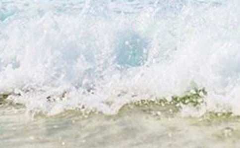 2016���茑�����ן���~�Z